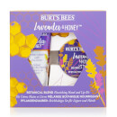 Coffret mains et lèvres produits nourrissants à base de plantes - Lavande & Miel
