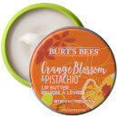 Crème pour les lèvres à la fleur d’oranger et à la pistache