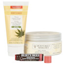 Mama Bee Special Care Bundle