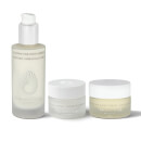 Day to Night Bundle