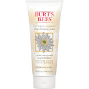 Burt's Bees Soap Bark & Chamomile Deep Cleansing Cream (170g) Burt's Bees Soap Bark & Chamomile Deep Cleansing Cream (170g)