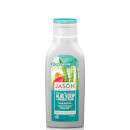 JASON Hair Care Aloe Vera 80% and Prickly Pear Shampoo 473ml JASON Hair Care Aloe Vera 80% and Prickly Pear Shampoo 473ml