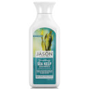 JASON Smoothing Sea Kelp Shampoo 473ml JASON Smoothing Sea Kelp Shampoo 473ml