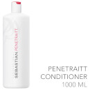 Sebastian Professional Penetraitt Conditioner (1000ml) - (£68.00 상당) Sebastian Professional Penetraitt Conditioner (1000ml) - (£68.00 상당)