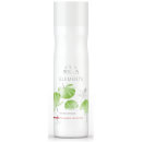 Wella Professionals Care Elements Renewing Shampoo 250ml Wella Professionals Care Elements Renewing Shampoo 250ml