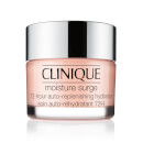 Clinique Moisture Surge 72 Hour Auto Replenishing Hydrator 50ml Clinique Moisture Surge 72 Hour Auto Replenishing Hydrator 50ml