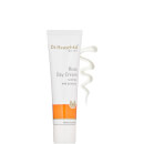 Dr. Hauschka Rose Day Cream Dr. Hauschka Rose Day Cream