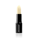 Antipodes Kiwi Seed Oil Lip Conditioner 4g Antipodes Kiwi Seed Oil Lip Conditioner 4g