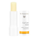 Dr. Hauschka Lip Care Stick Dr. Hauschka Lip Care Stick