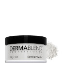 Dermablend Loose Setting Powder (Various Shades) Dermablend Loose Setting Powder (Various Shades)