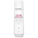 Goldwell Dualsenses Color Extra Rich Brilliance Shampoo 250ml Goldwell Dualsenses Color Extra Rich Brilliance Shampoo 250ml