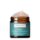 Antipodes Baptise H2O Ultra-Hydrating Water Gel with Hyaluronic Acid 60ml Antipodes Baptise H2O Ultra-Hydrating Water Gel with Hyaluronic Acid 60ml