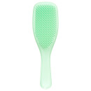 Tangle Teezer The Wet Detangler Hairbrush Mint Karma Tangle Teezer The Wet Detangler Hairbrush Mint Karma