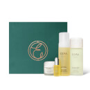 The Balancing Collection (Worth $209.00) The Balancing Collection (Worth $209.00)