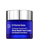 Dr Dennis Gross Skincare B3Adaptive Superfoods Stress Repair Face Cream 60ml Dr Dennis Gross Skincare B3Adaptive Superfoods Stress Repair Face Cream 60ml