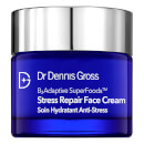 Dr Dennis Gross Skincare B3Adaptive Superfoods Stress Repair Face Cream 60ml Dr Dennis Gross Skincare B3Adaptive Superfoods Stress Repair Face Cream 60ml