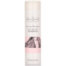 Percy & Reed Turn Up The Volume Volumising Shampoo 250ml Percy & Reed Turn Up The Volume Volumising Shampoo 250ml