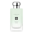 Jo Malone London Osmanthus Blossom Cologne 100ml Jo Malone London Osmanthus Blossom Cologne 100ml