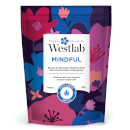 Westlab Mindful Epsom and Himalayan Bathing Salts with Frankincense, Bergamot and CBD Oil 3lb Westlab Mindful Epsom and Himalayan Bathing Salts with Frankincense, Bergamot and CBD Oil 3lb