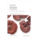 THE FACE SHOP Real Nature Sheet Mask Lingzhi THE FACE SHOP Real Nature Sheet Mask Lingzhi