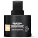 Goldwell Dualsenses Color Revive Root Touch Up Light Blonde 3.7g Goldwell Dualsenses Color Revive Root Touch Up Light Blonde 3.7g