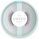 Sweed Lashes Beroe 3D - Black Sweed Lashes Beroe 3D - Black