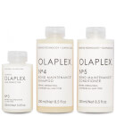 Olaplex Hero Bundle Olaplex Hero Bundle