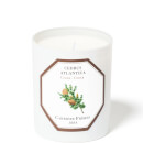 Carrière Frères Scented Candle Cedar - Cedrus Atlantica - 185 g Carrière Frères Scented Candle Cedar - Cedrus Atlantica - 185 g