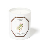 Carrière Frères Scented Candle Sandalwood - Santalum Album - 185 g Carrière Frères Scented Candle Sandalwood - Santalum Album - 185 g