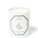 Carrière Frères Scented Candle Tea Plant - Camellia Sinensis - 185 g Carrière Frères Scented Candle Tea Plant - Camellia Sinensis - 185 g