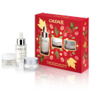 Caudalie Vinoperfect Christmas Set The Cult Anti-Dark Spot Routine Caudalie Vinoperfect Christmas Set The Cult Anti-Dark Spot Routine