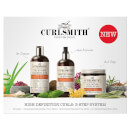 Curlsmith High Definition Curls 3-Step System Curlsmith High Definition Curls 3-Step System
