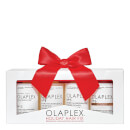 Olaplex Holiday Hair Fix Olaplex Holiday Hair Fix