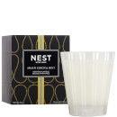 NEST Fragrances Amalfi Lemon & Mint Classic Candle 8.1 oz NEST Fragrances Amalfi Lemon & Mint Classic Candle 8.1 oz