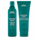 Aveda Botanical Repair Shampoo and Conditioner Duo Aveda Botanical Repair Shampoo and Conditioner Duo