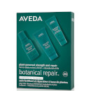 Aveda Exclusive Botanical Repair Strengthening Trio (Worth £27.00) Aveda Exclusive Botanical Repair Strengthening Trio (Worth £27.00)