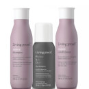 Living Proof Restore Your Hair Routine Bundle Living Proof Restore Your Hair Routine Bundle