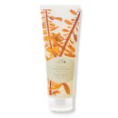 100% Pure Kelp and Mint Volumizing Shampoo (8 fl. oz.) 100% Pure Kelp and Mint Volumizing Shampoo (8 fl. oz.)