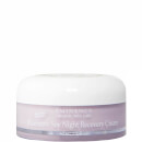 Eminence Organic Skin Care Blueberry Soy Night Recovery Cream 2 fl. Oz Eminence Organic Skin Care Blueberry Soy Night Recovery Cream 2 fl. Oz