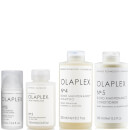 Olaplex No.3, No.4, No.5 and No.8 Bundle Olaplex No.3, No.4, No.5 and No.8 Bundle