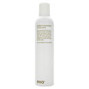 evo Builder's Paradise Working Spray 300ml