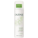 Caudalie Supersize Grape Water (7oz) Caudalie Supersize Grape Water (7oz)