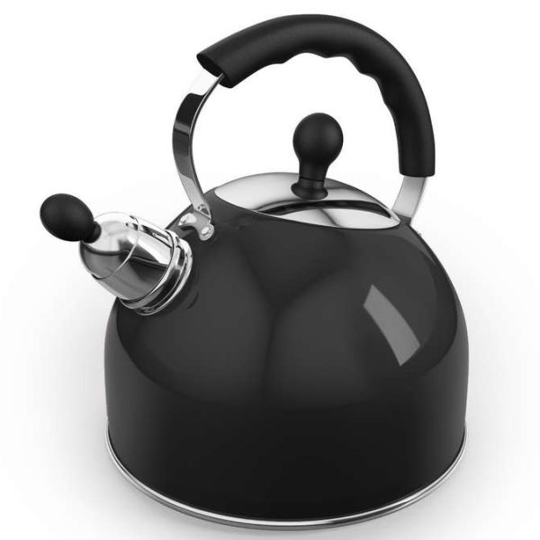 Morphy Richards Equip 2.5Ltr Whistling Kettle Black IWOOT