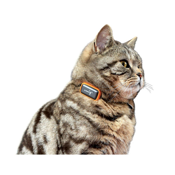 GPaws Pet GPS Tracker System Black IWOOT