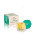 NUXE Reve de Miel Lip balm 20th Anniversary - Green (15ml) NUXE Reve de Miel Lip balm 20th Anniversary - Green (15ml)