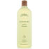Aveda Rosemary Mint Shampoo (1000ml) - (Worth £52.00) Aveda Rosemary Mint Shampoo (1000ml) - (Worth £52.00)