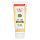 Burt's Bees Aloe & Buttermilk Lotion Burt's Bees Aloe & Buttermilk Lotion