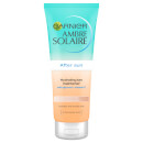 ガルニエ Ambre Solaire アフターサン タン メンテナー 200ml ガルニエ Ambre Solaire アフターサン タン メンテナー 200ml