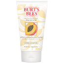 Burt's Bees Peach & Willowbark Deep Pore Scrub (4 oz / 110g) Burt's Bees Peach & Willowbark Deep Pore Scrub (4 oz / 110g)
