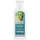 JASON Smoothing Sea Kelp Shampoo (473ml) JASON Smoothing Sea Kelp Shampoo (473ml)